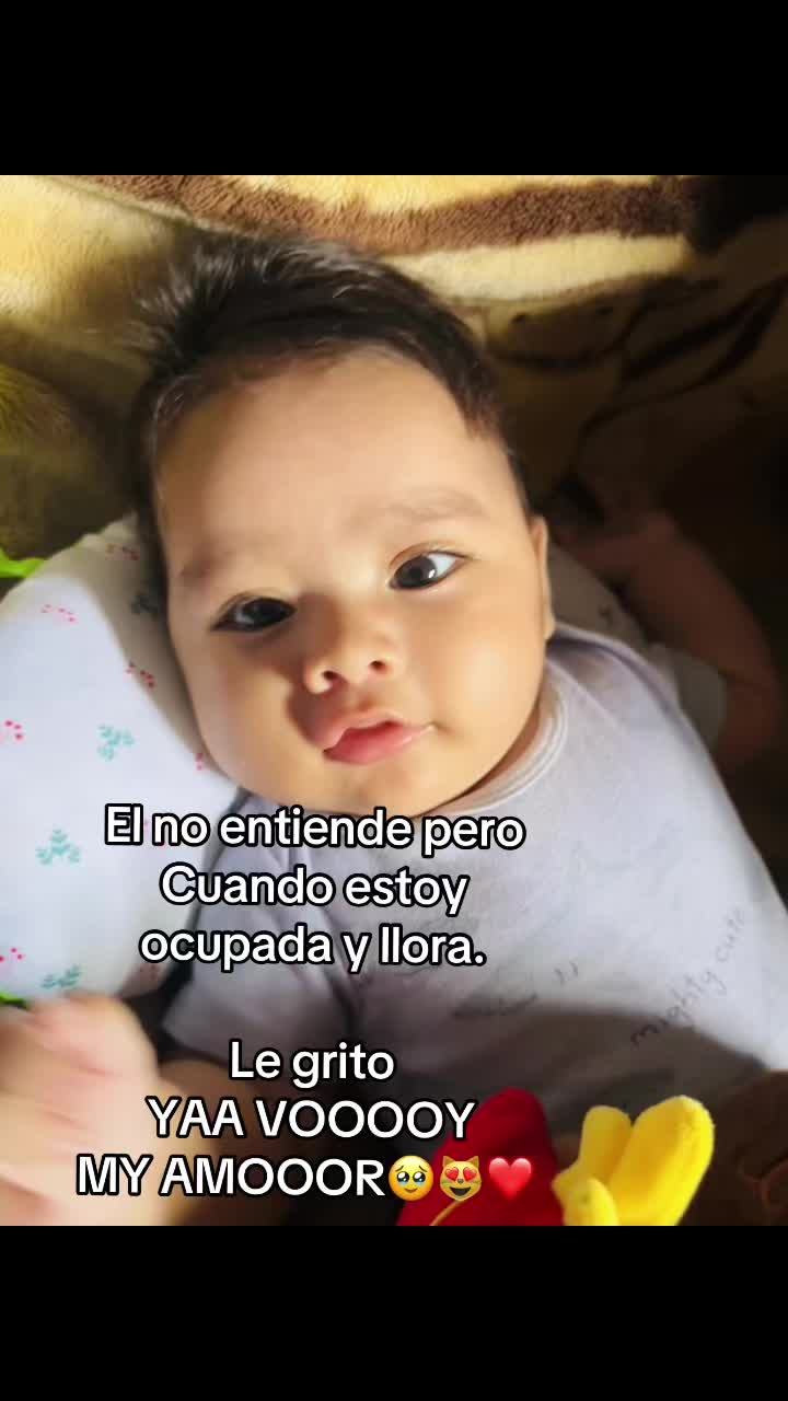 @Maria-José-Toledo🌸