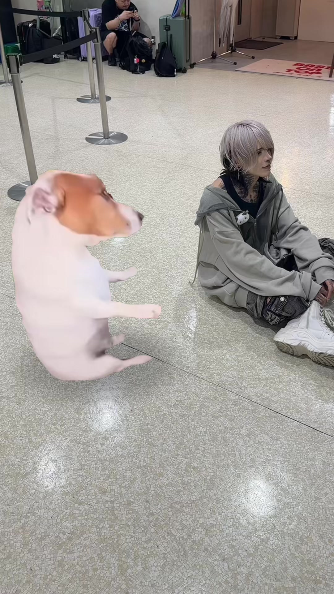@ゲドラジGEDRAJI