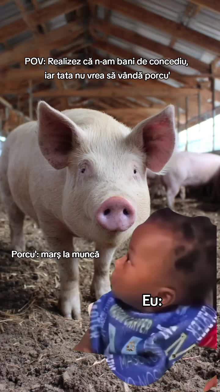 @Eugenia Baciu 🌪