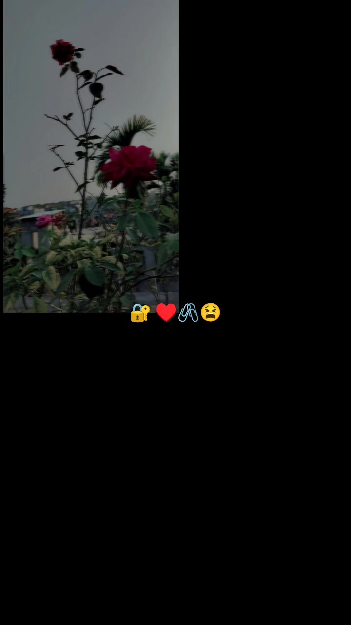 @♡ NABA ♡