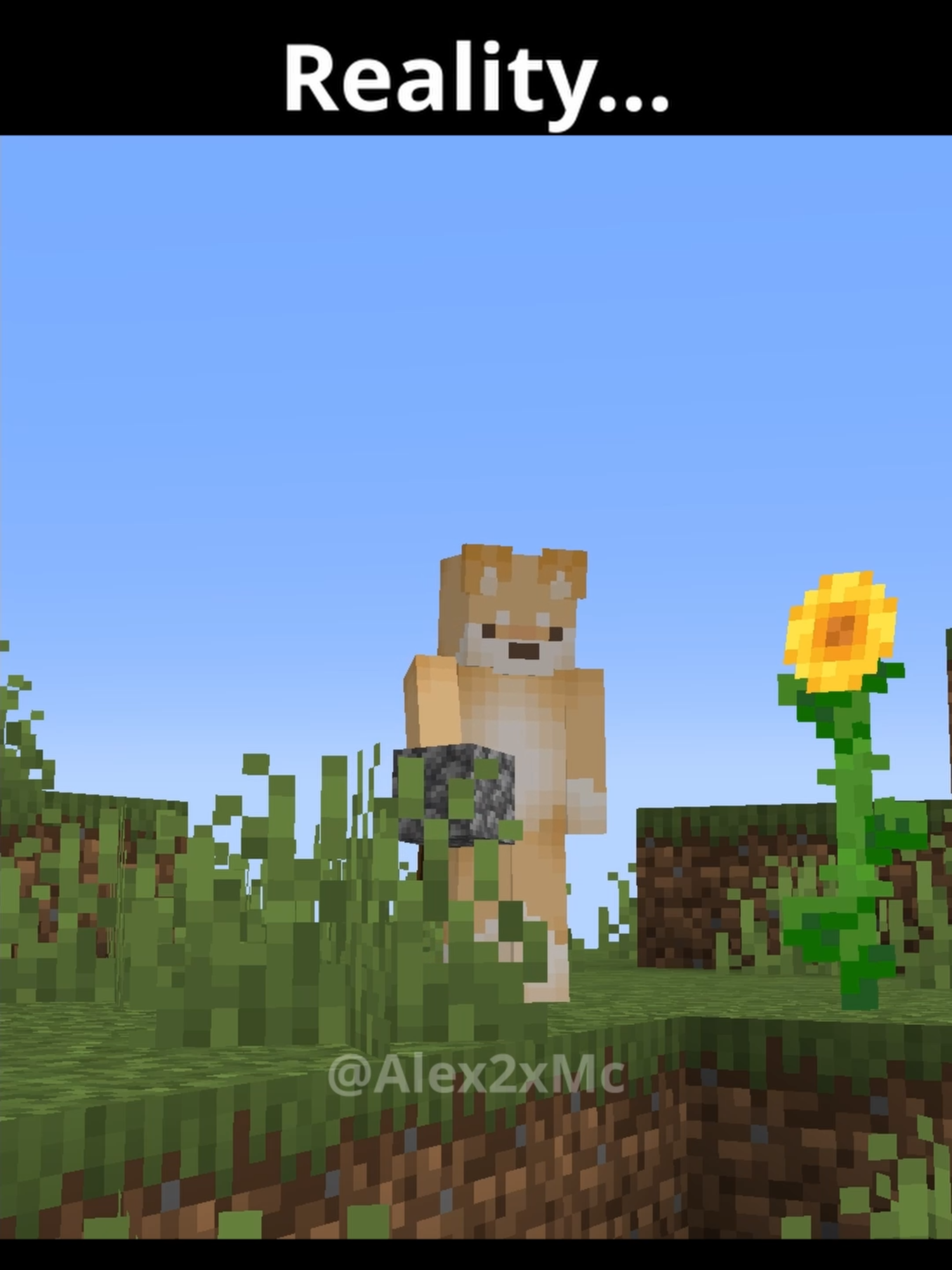 @Alex2x