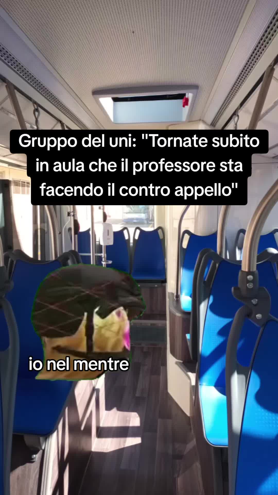 @gb_uni_meme