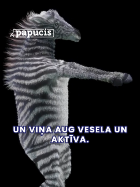 @papucislv