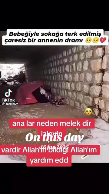 @ZERDALi