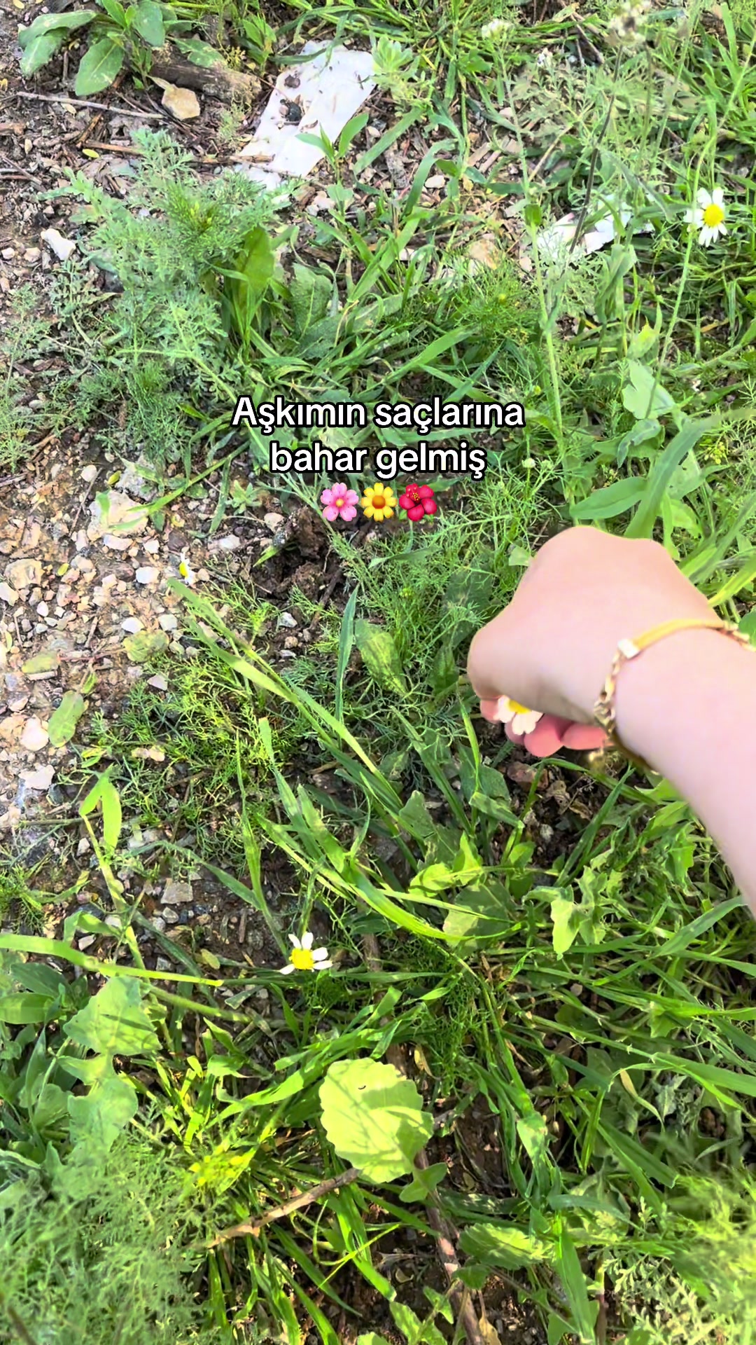@Esra İrem 🐆