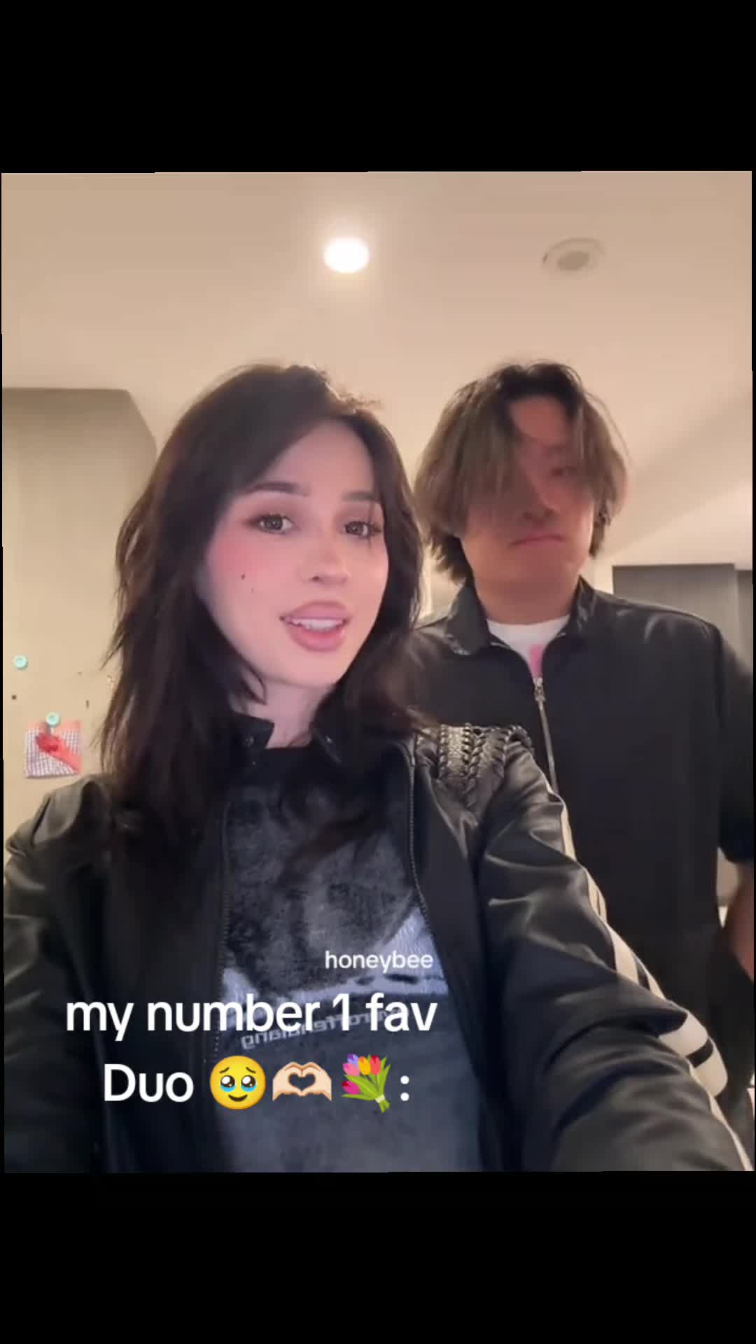 @Elsarca edit's only