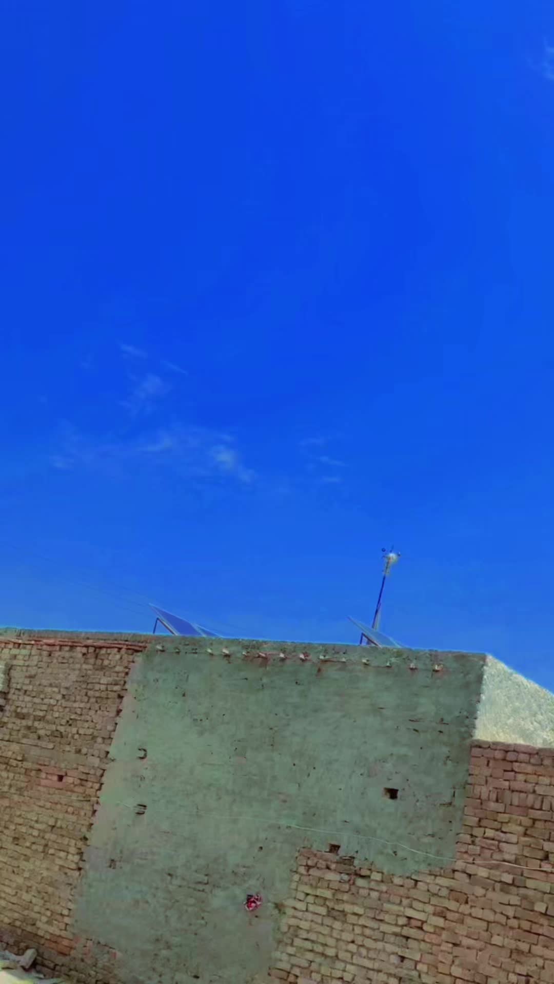 @Dilawar Bhakkar ala
