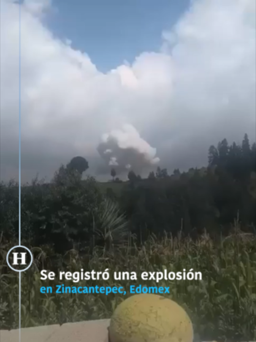 @elheraldodemexico