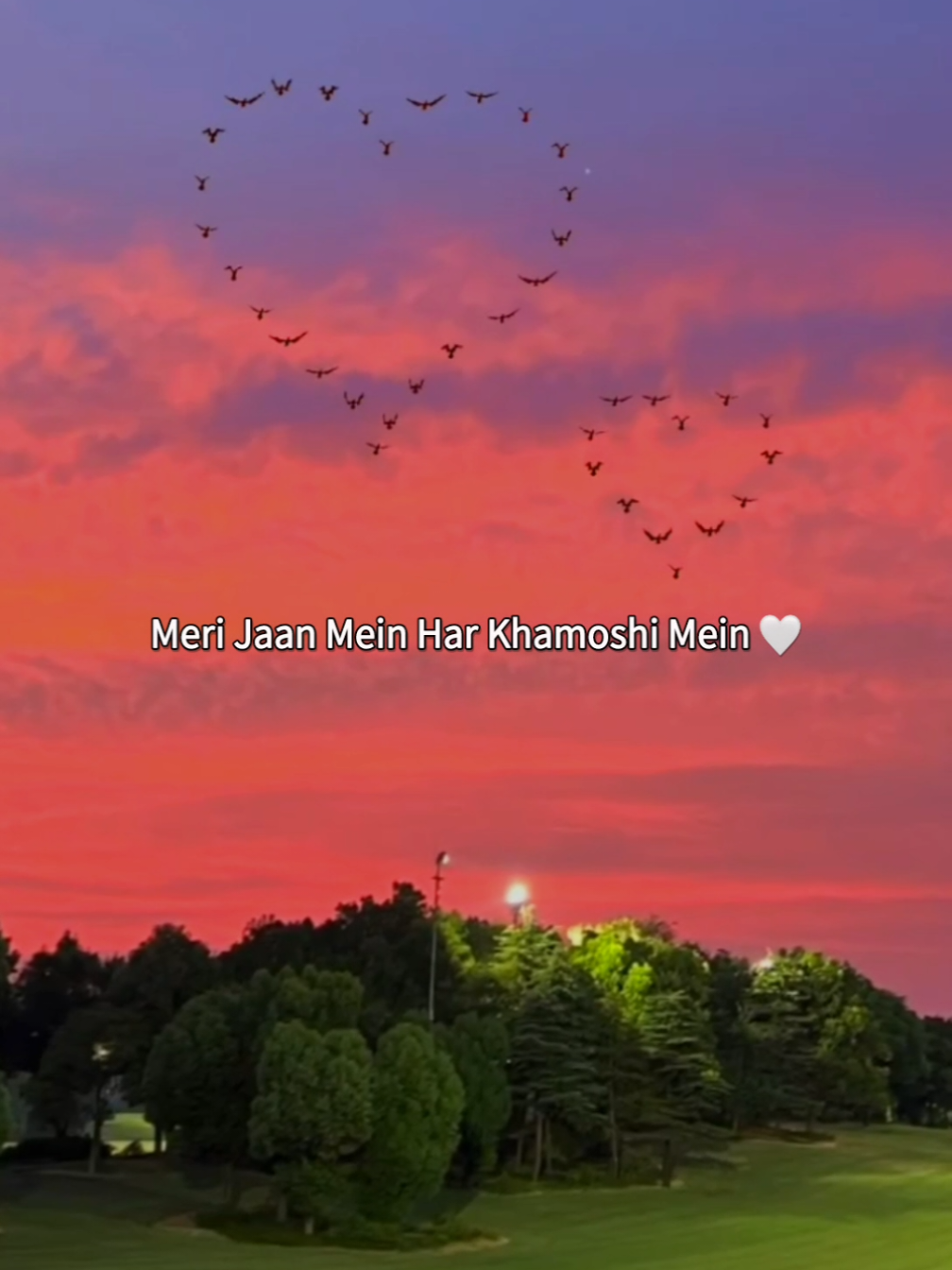 @𝗠𝗶𝗱𝗻𝗶𝗴𝗵𝘁 𝗦𝗼𝘂𝗹 🌙