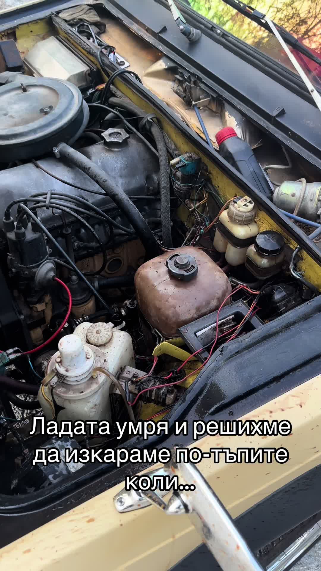 @Pmitev92