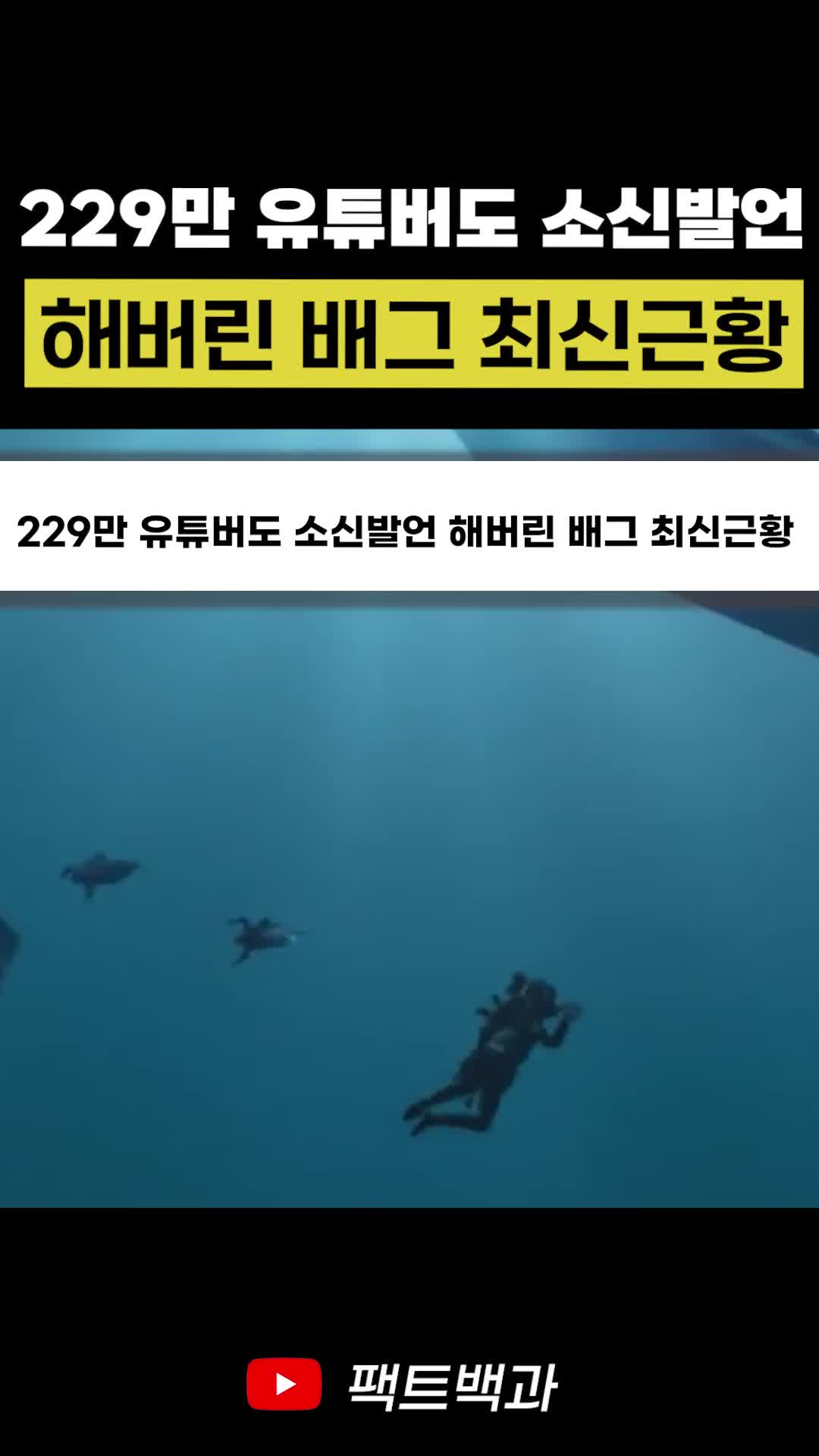 @인물백과
