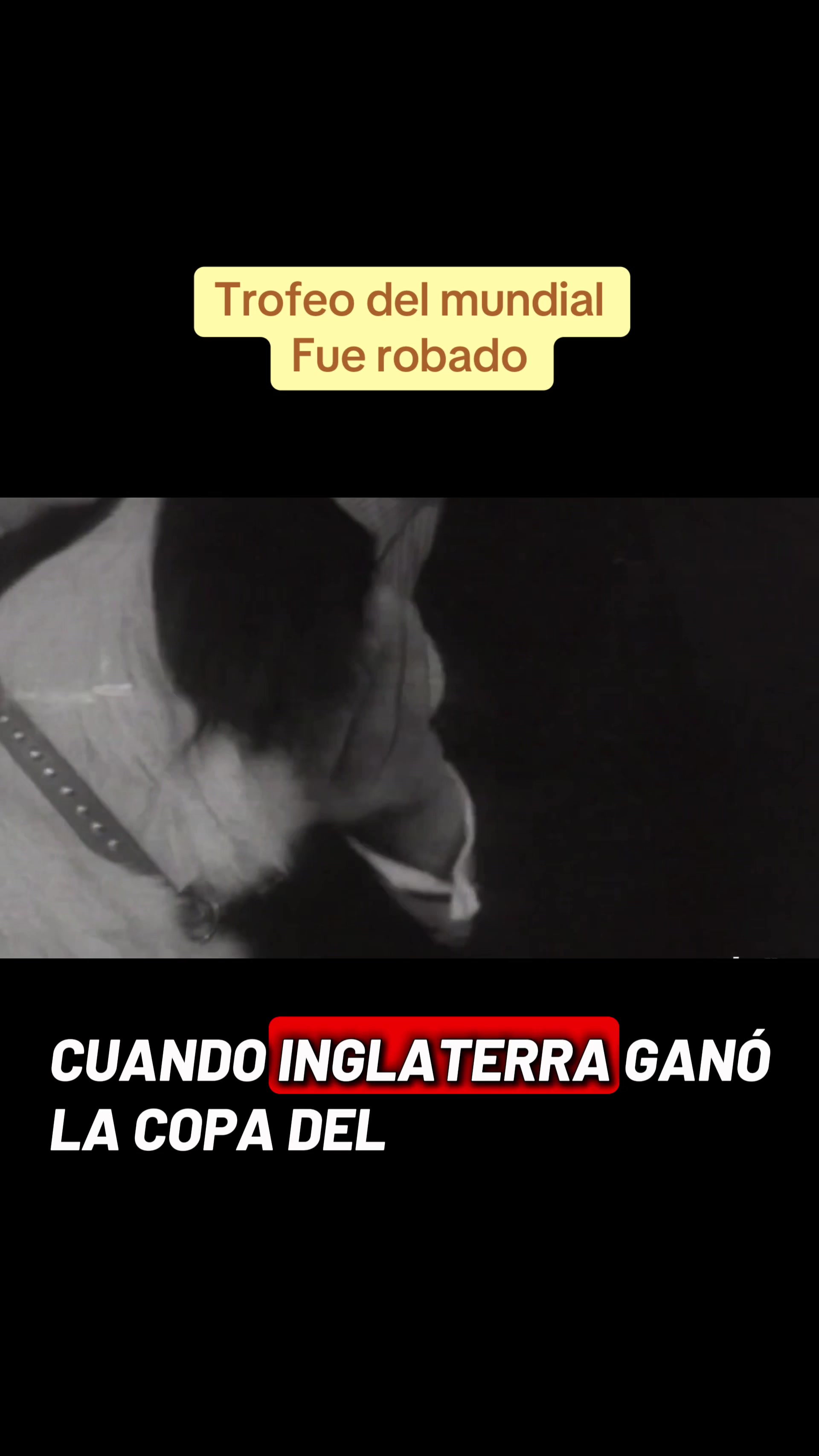 @Hugo Gallagher