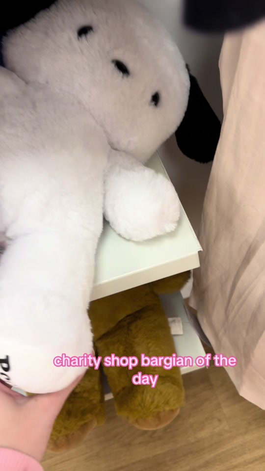 @bunni