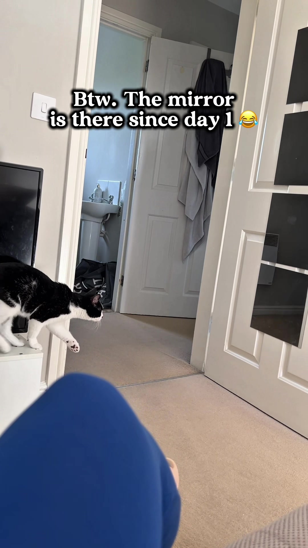 @slavic_cat_mum
