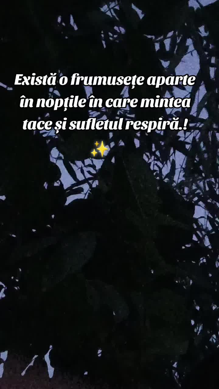 @꧁🥀Fort🥀꧂