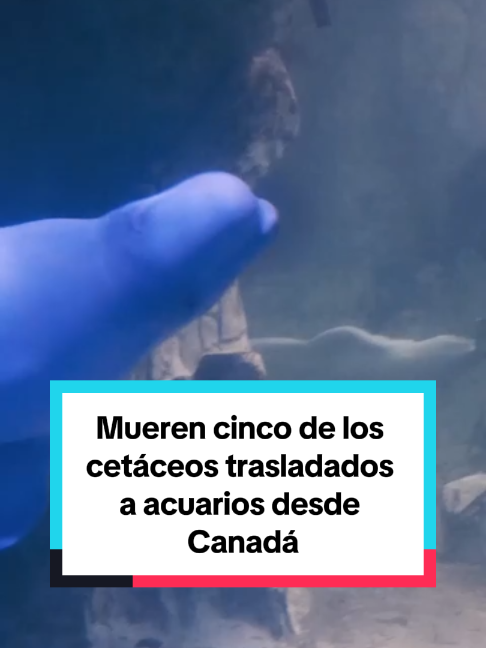 @El País