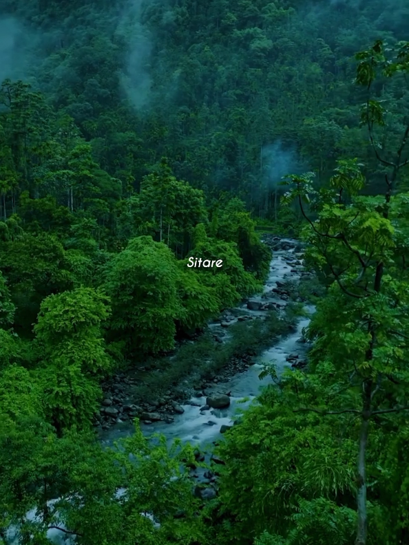 @ᶻᵘⁿⁱⁱ~