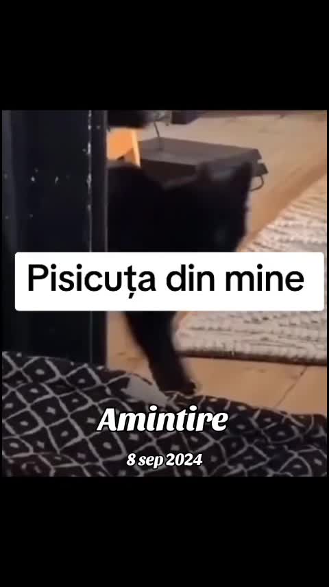 @Umorul e drogul