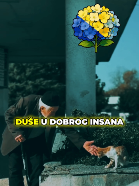 @Hadžibeg