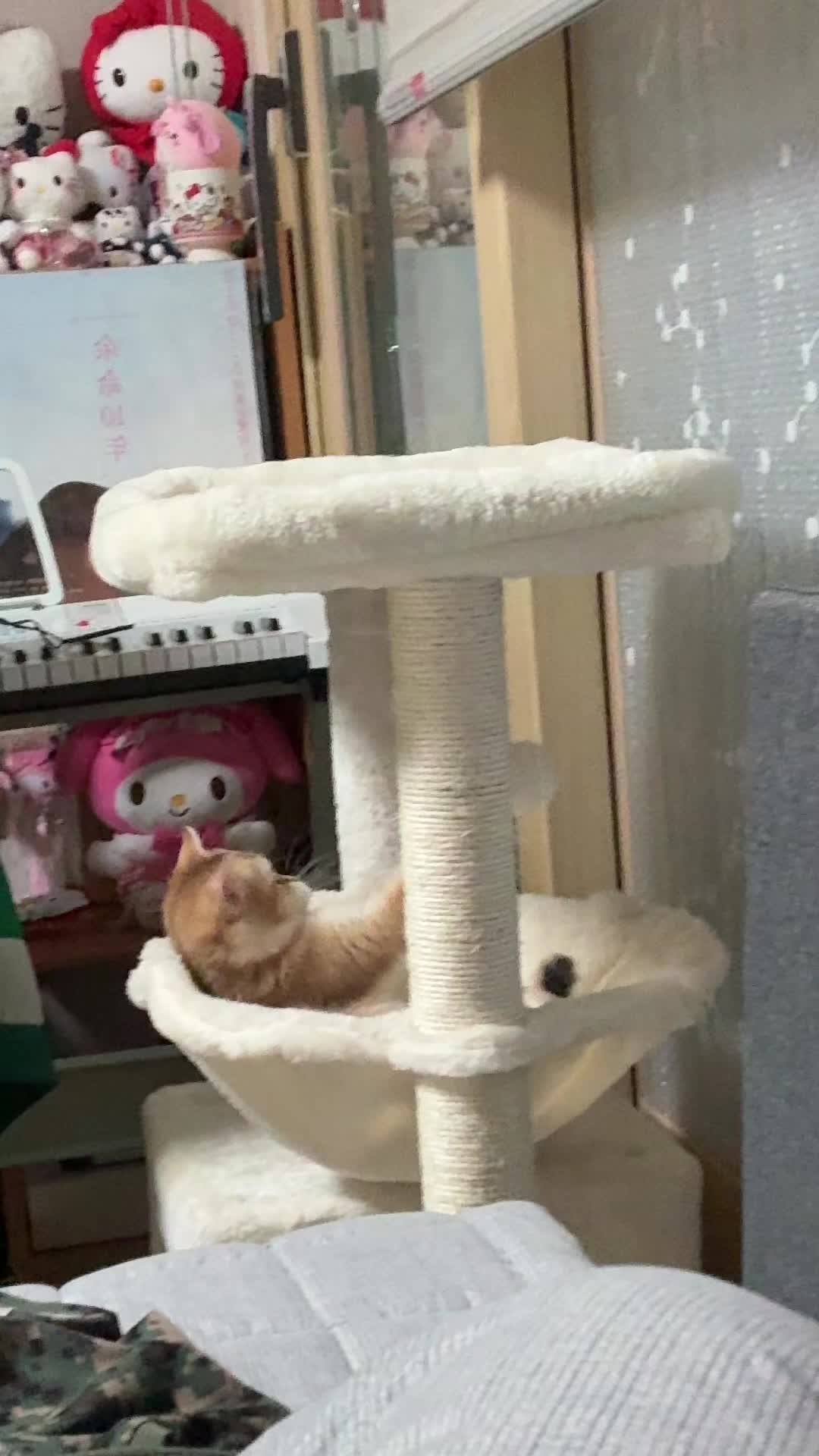 @정잉잉