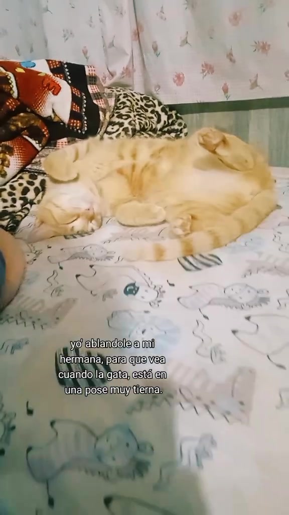 @𝙎𝙖𝙞𝙧𝙞