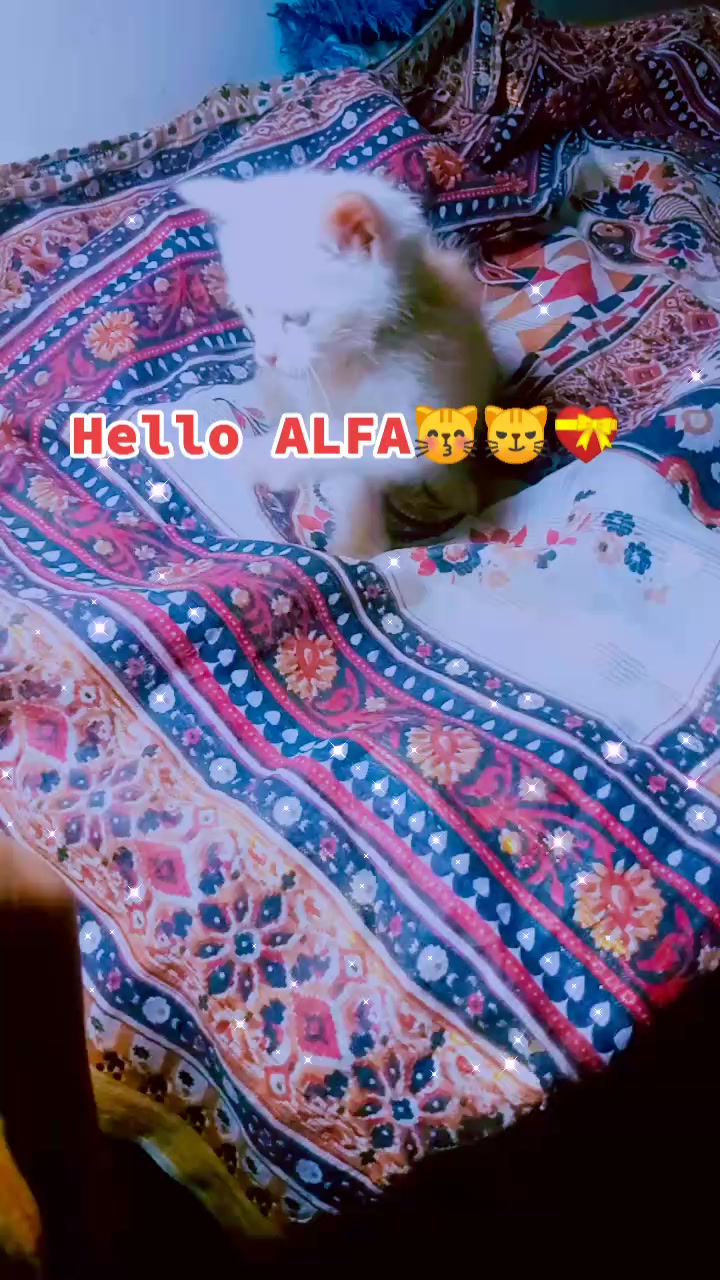 @Rj.Dr shafaq kazmi (Official)