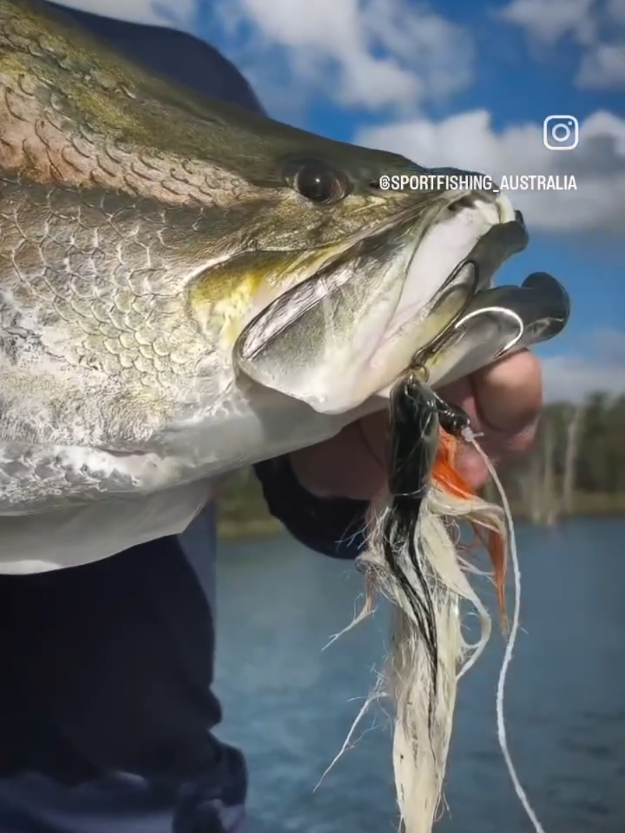@jerkfly