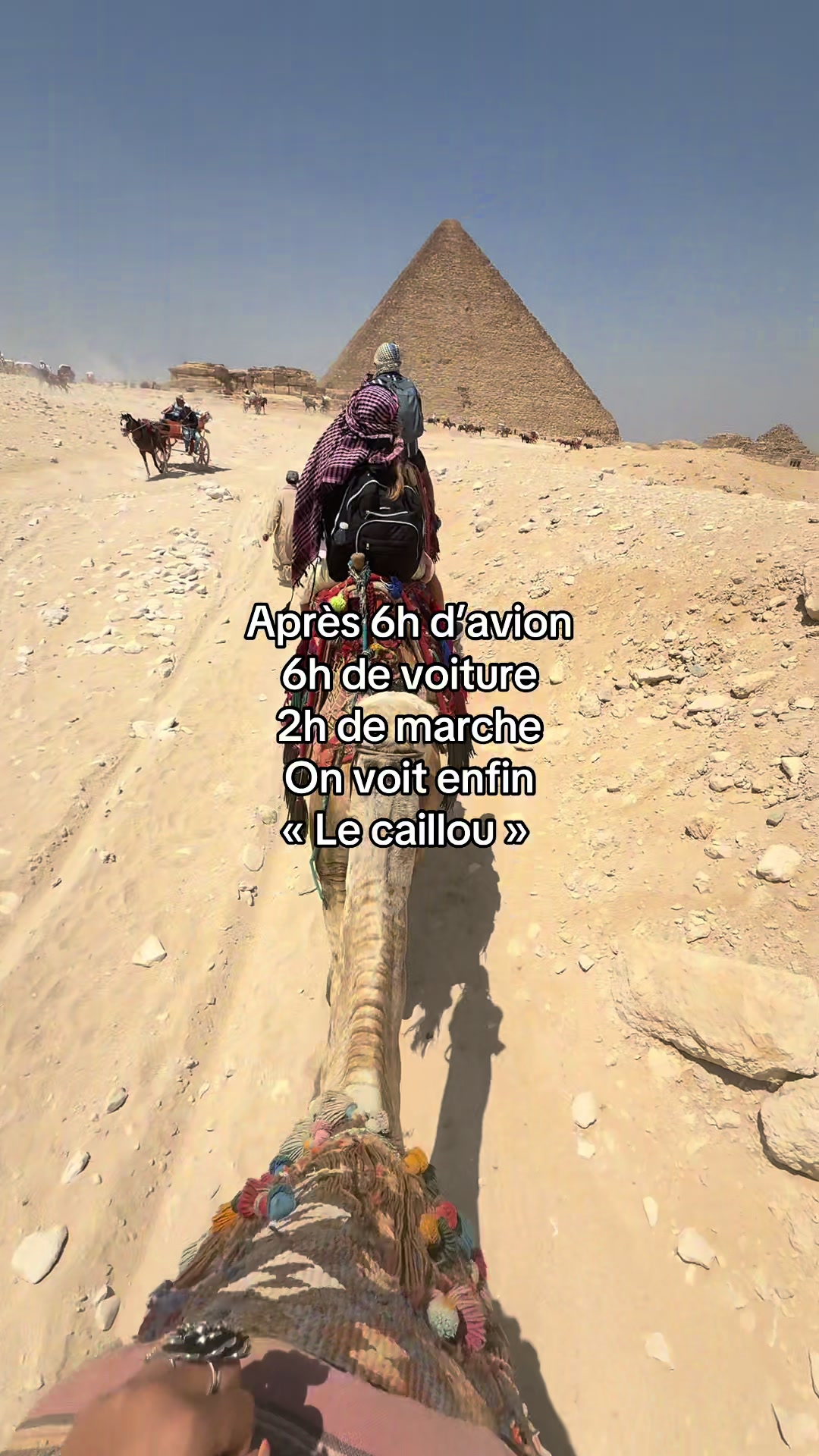 @🦋ليلى 🪼