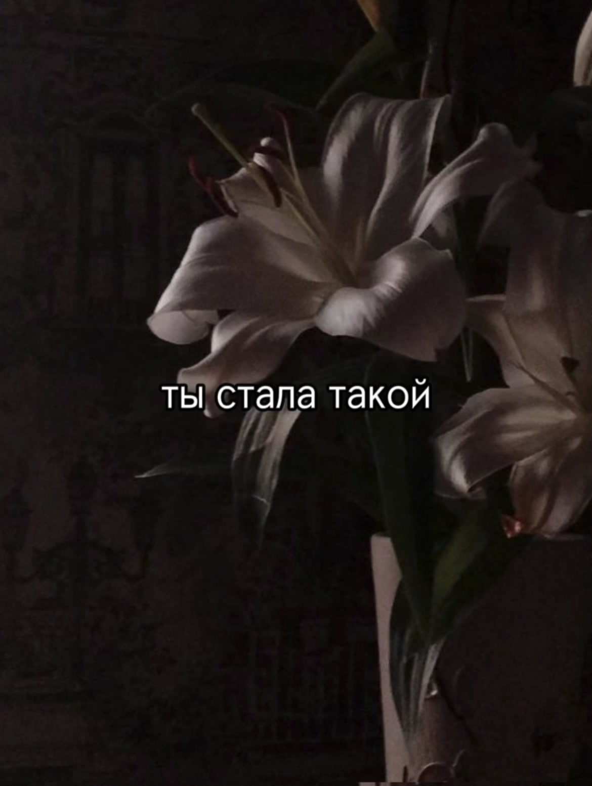 @ᴛᴩᴇᴋи дᴧя ᴧиᴨᴄинᴦоʙ