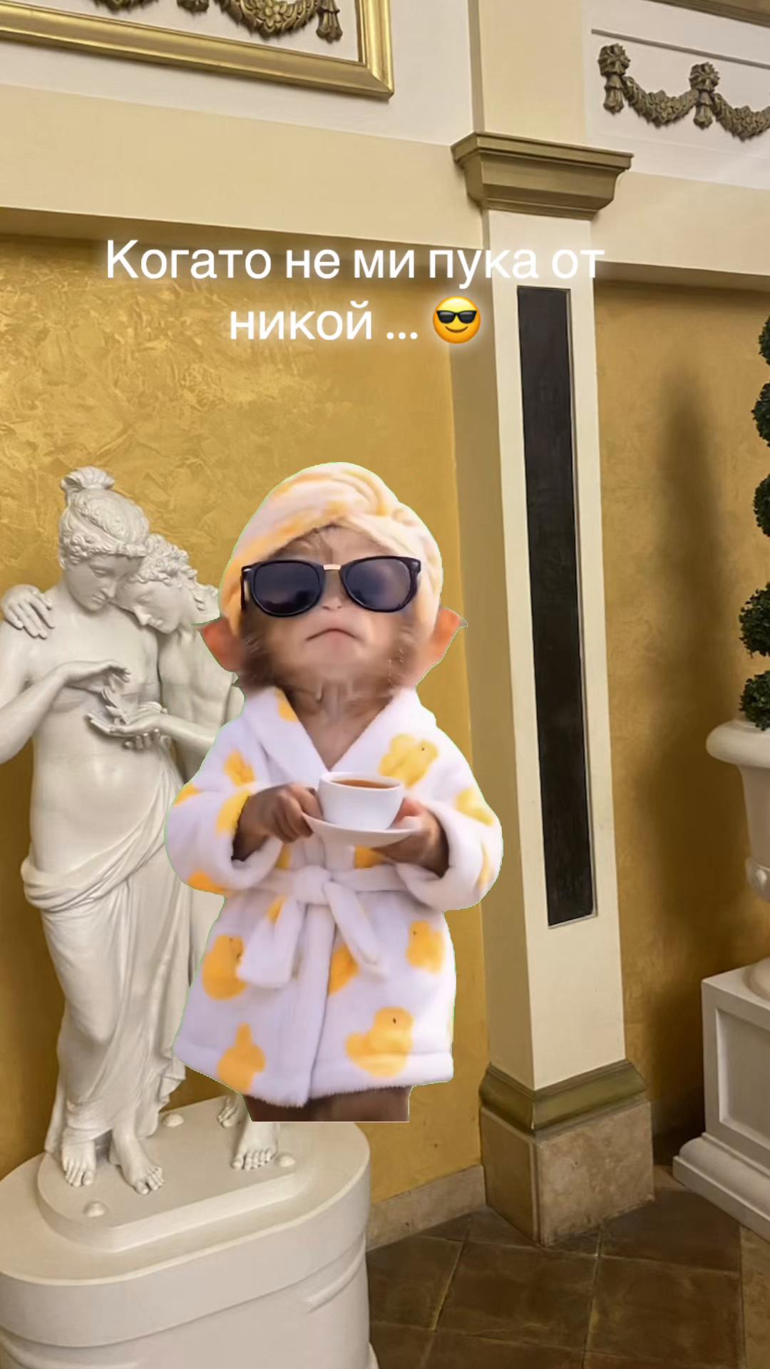 @Desislava Koleva673