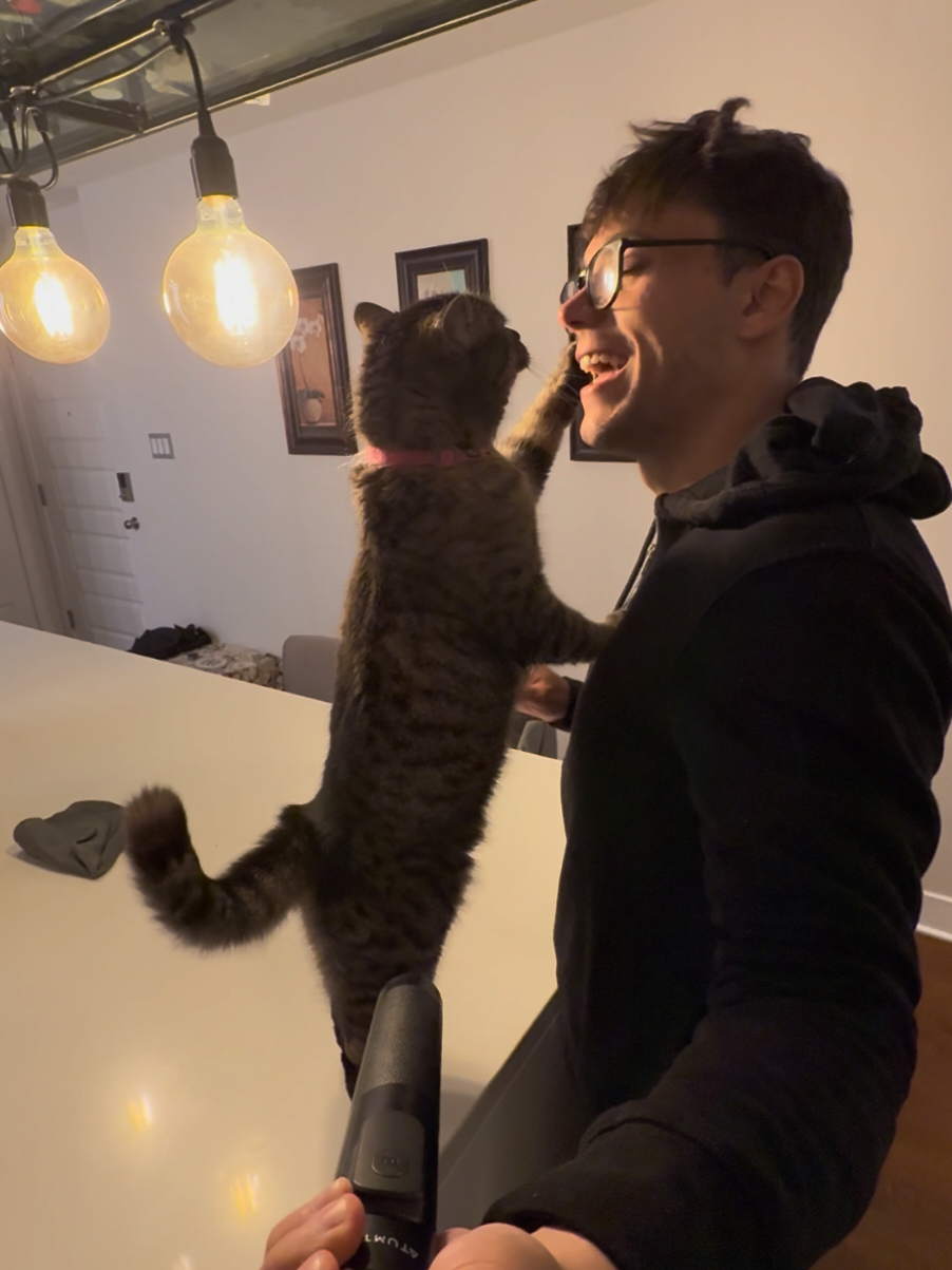 @Bellarda the cat
