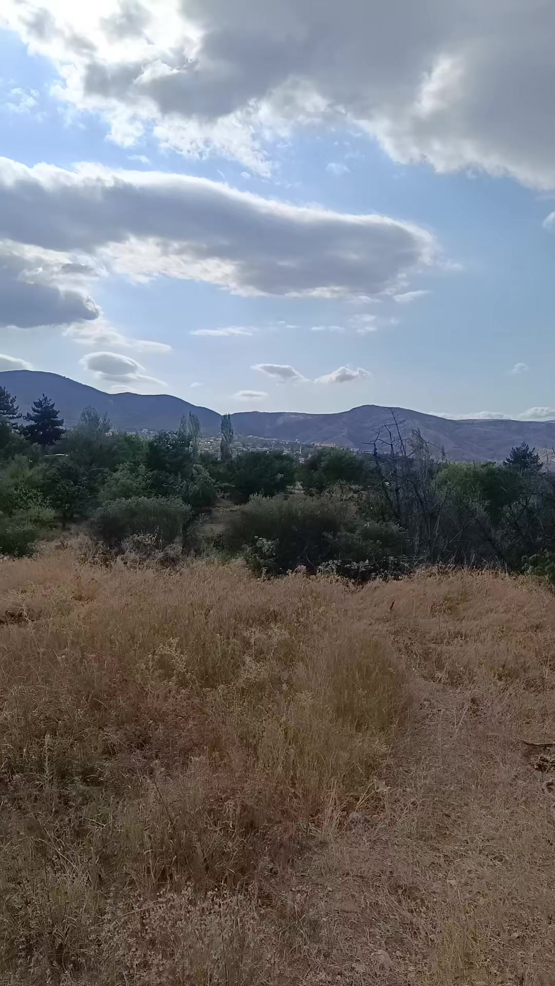 @Duran Karakaş