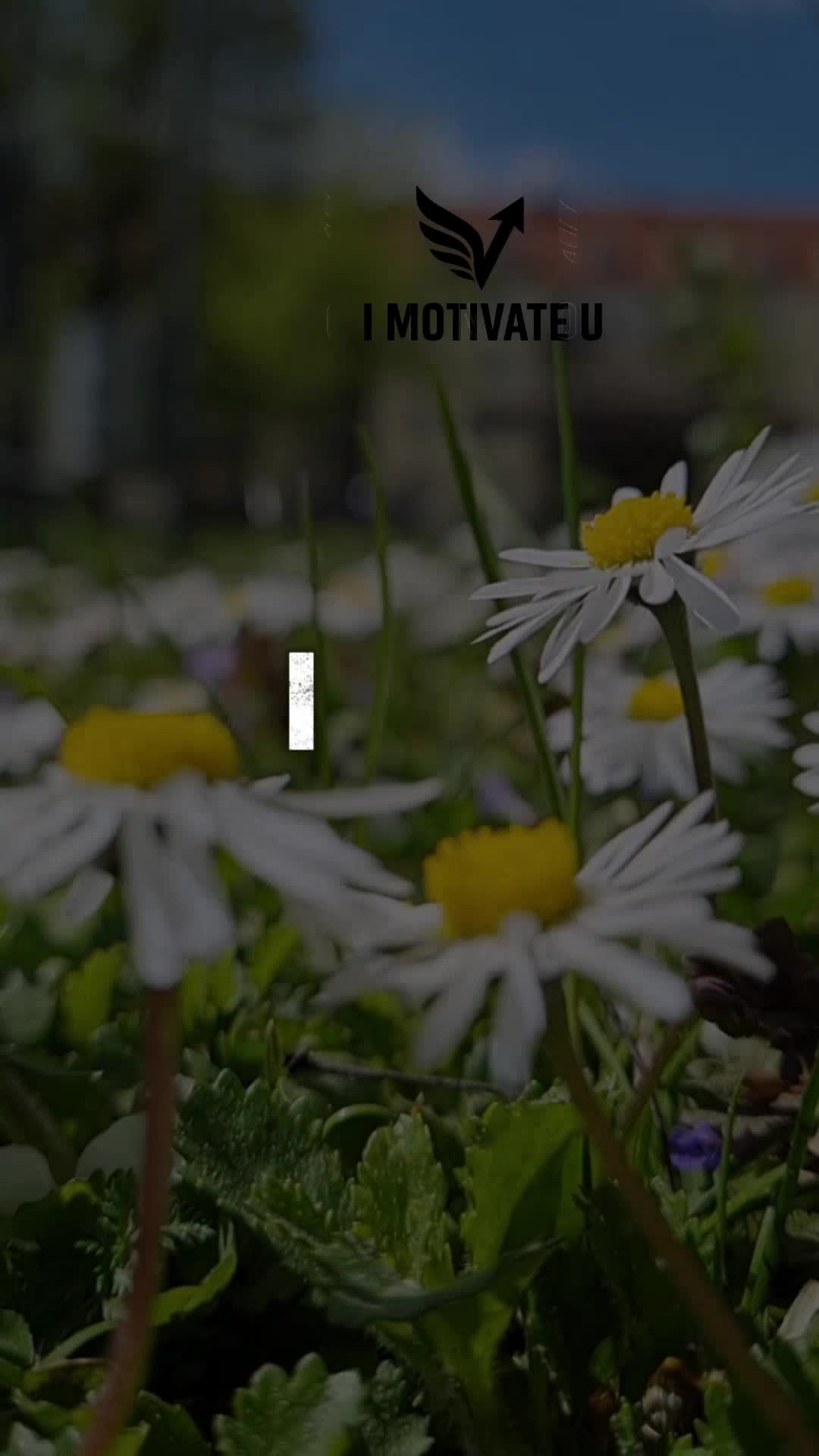 @IMotivateU