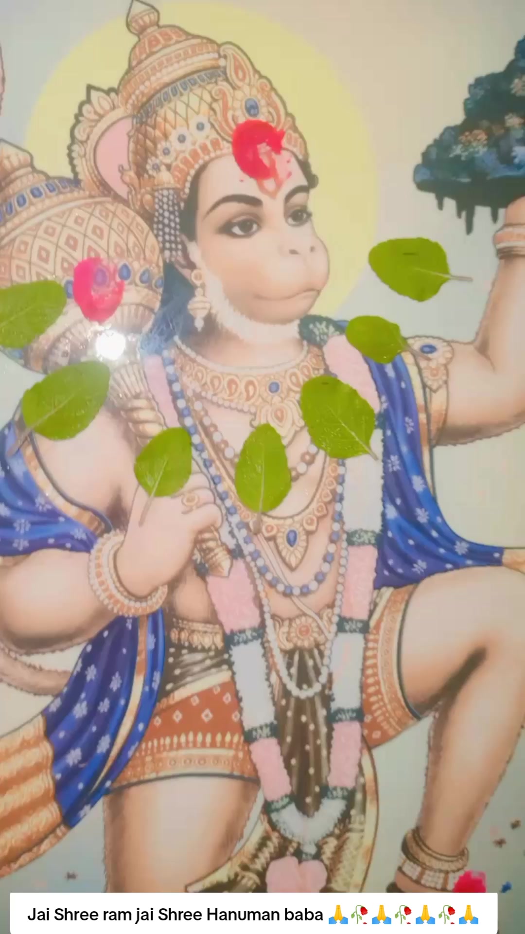 @SharbanSunitaRoyYadav861🤞❣