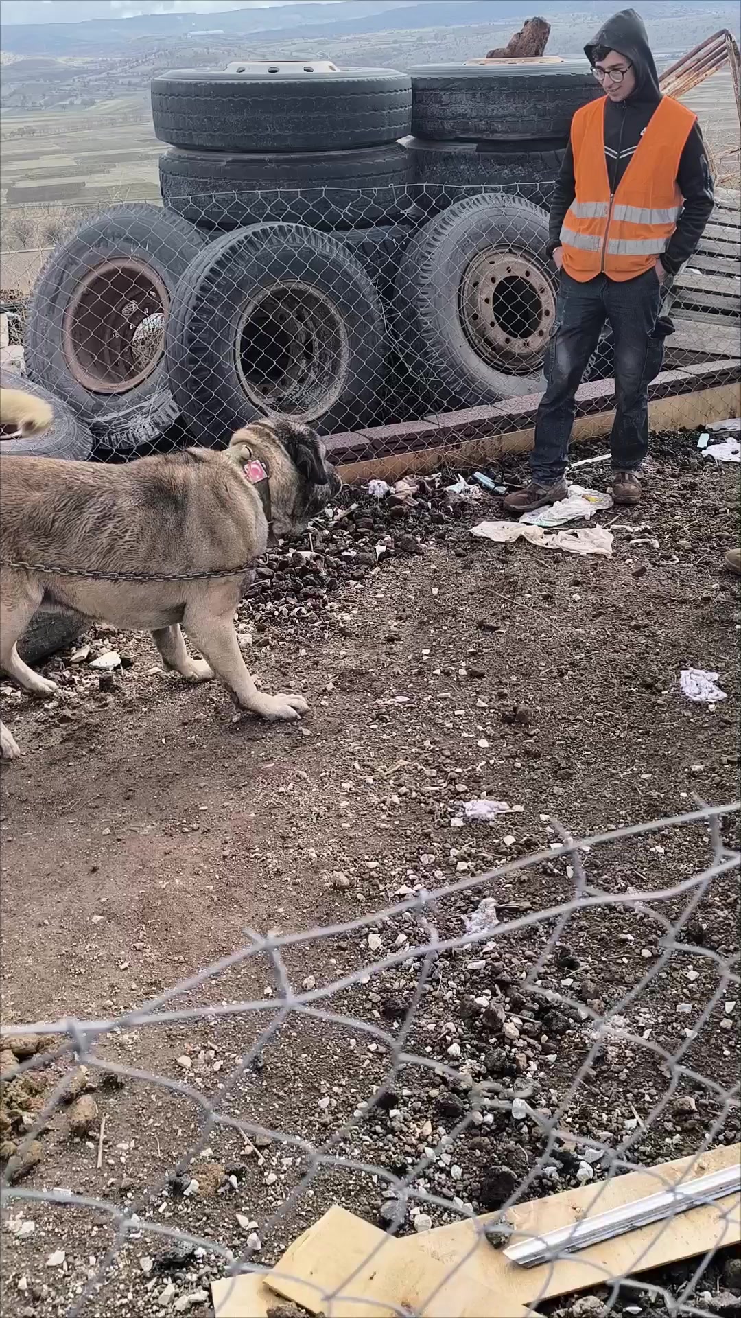 @Çağrı Eskici