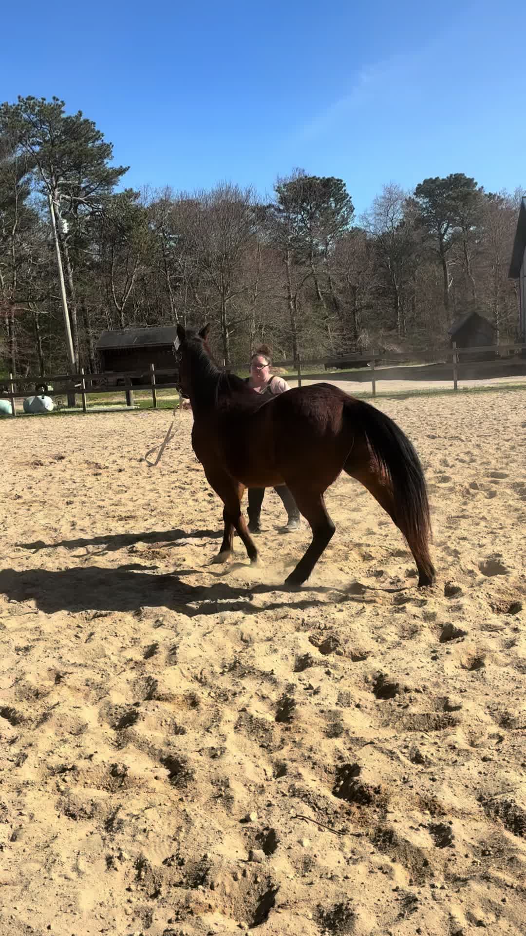 @horseshowqueen89