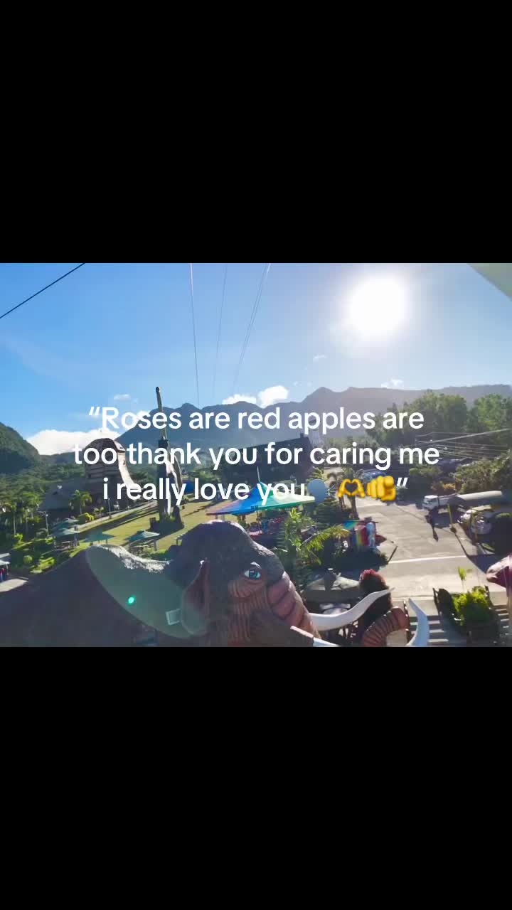 @🌷