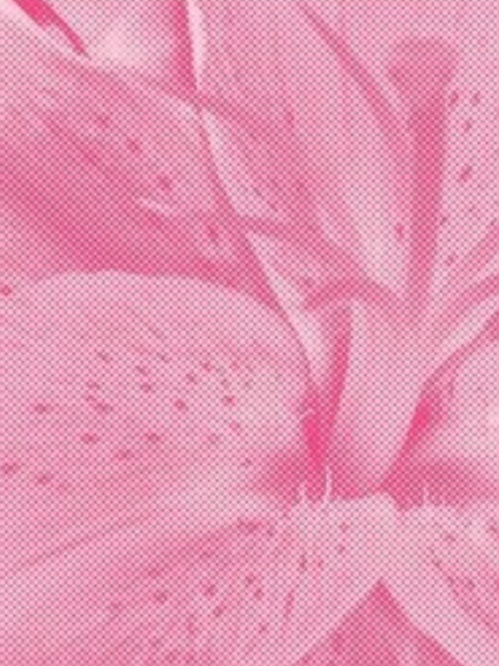 @ּ֯ . 𓏲ּ𝄢 ּ֯ ┆꒰ 𝓚íɾᥲ .ᐟ ꒱