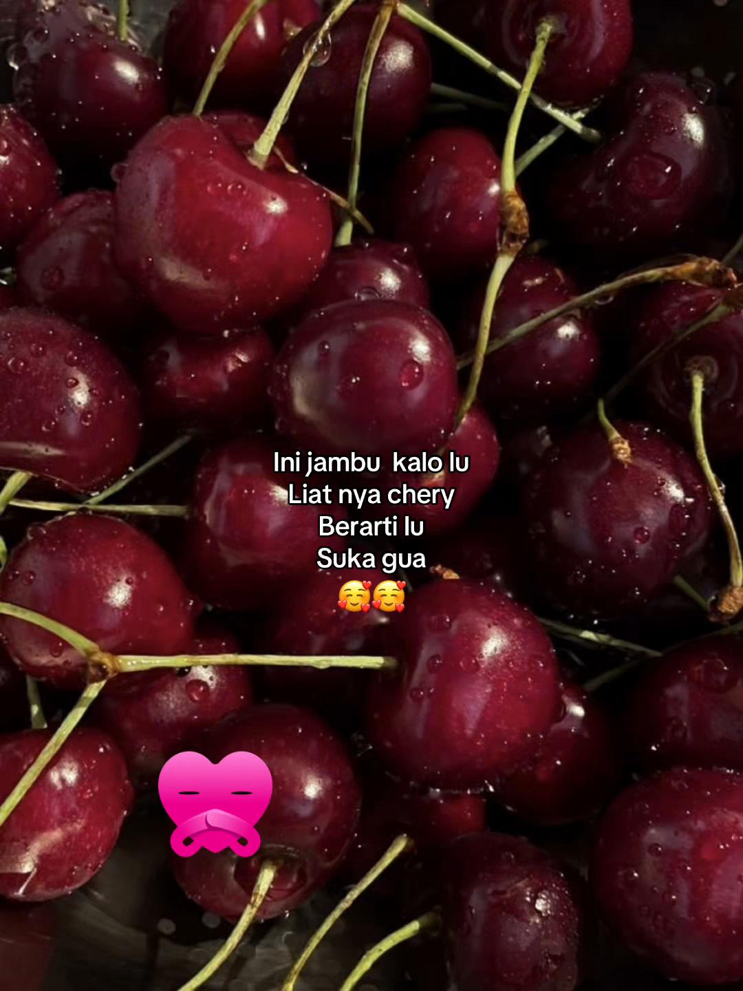 @암컷💃🏻