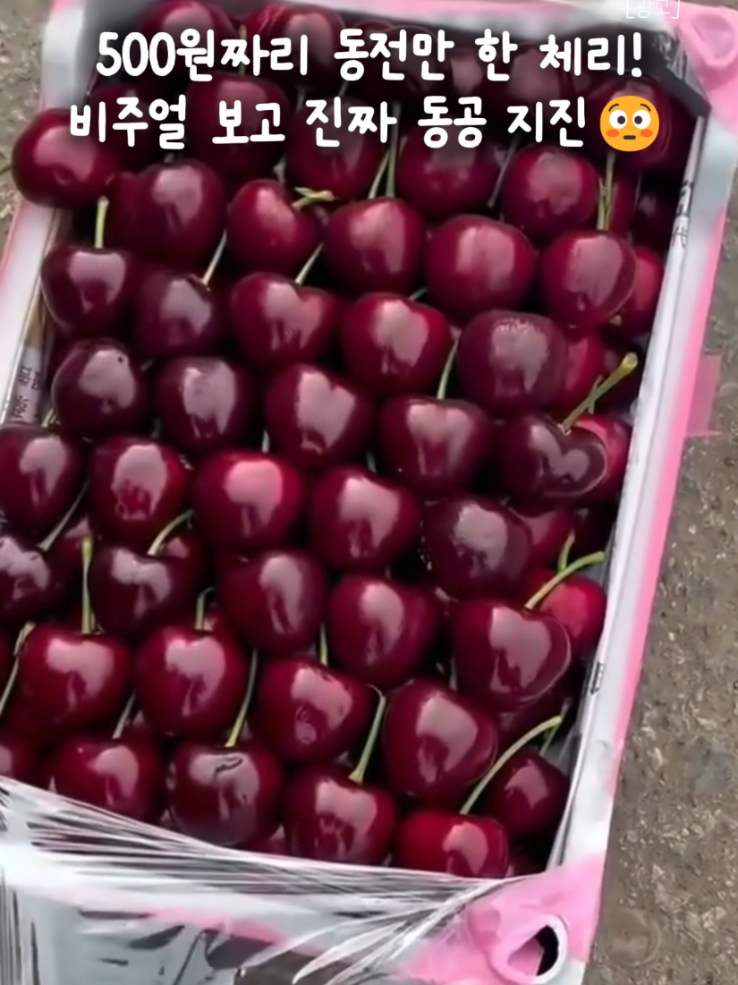 @빛나홈(구매는 여기 터치!😊)