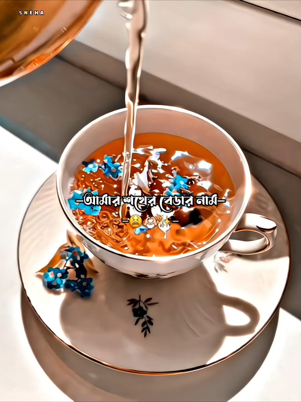 @➳ᥫ᭡፝֟፝֟⋆-𝑻𝒂𝒆🕊️⋆ᥫ᭡፝֟፝֟࿐