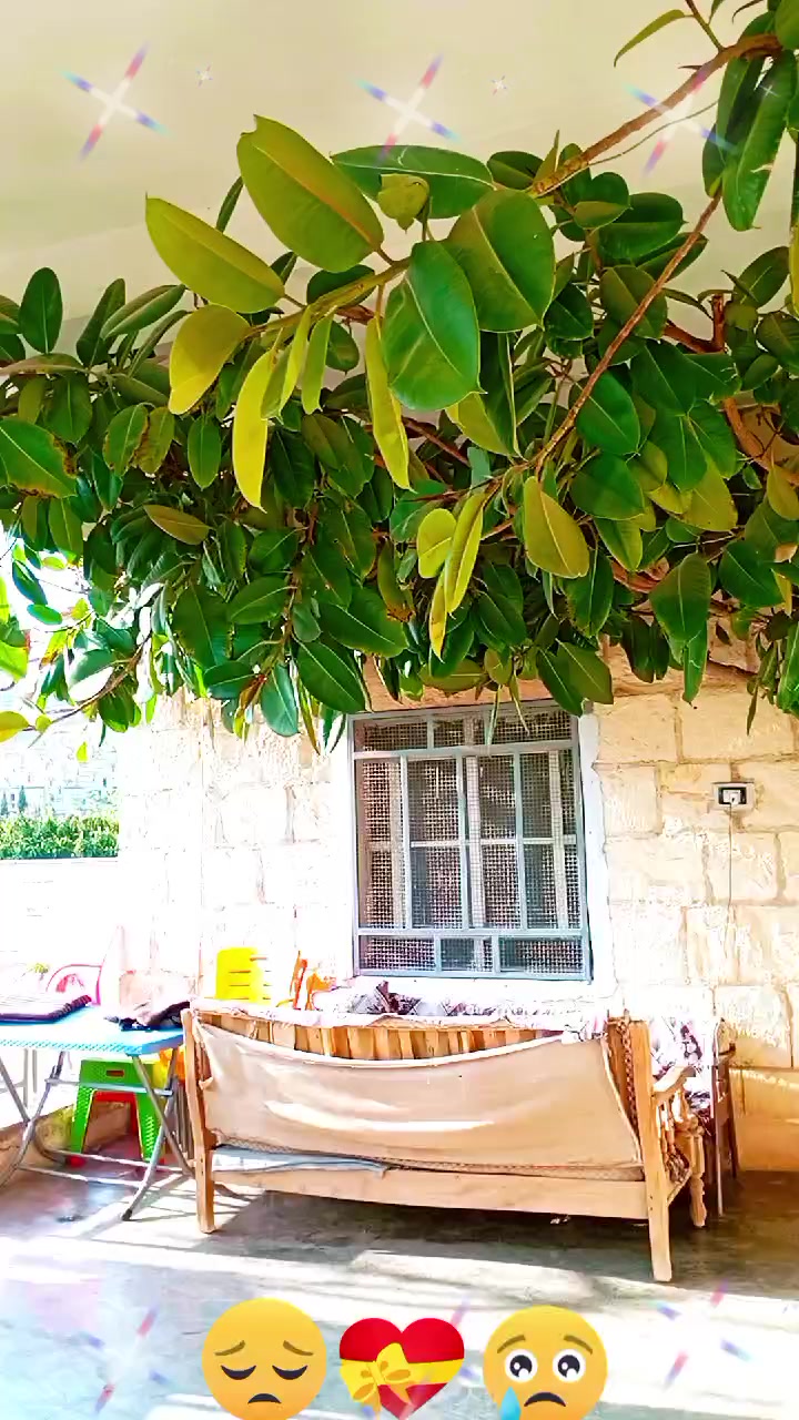 @رونيارا عفريني