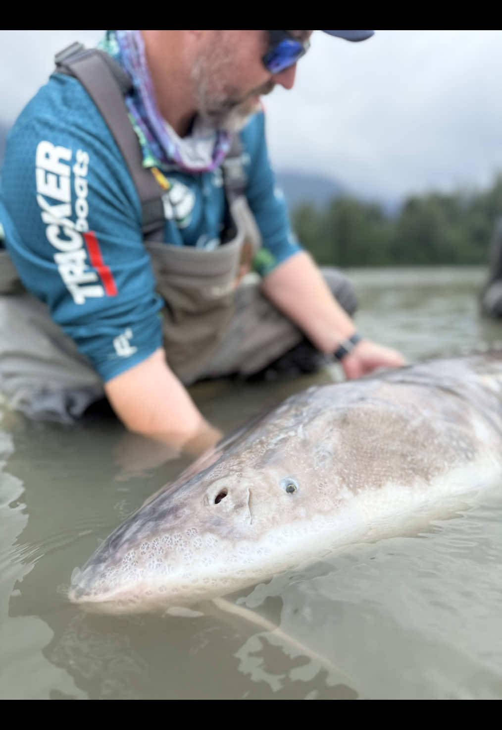 @NON-STOP FISHING