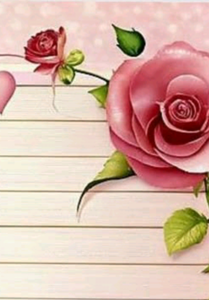 @🌹BELLA FLOR FF🌹