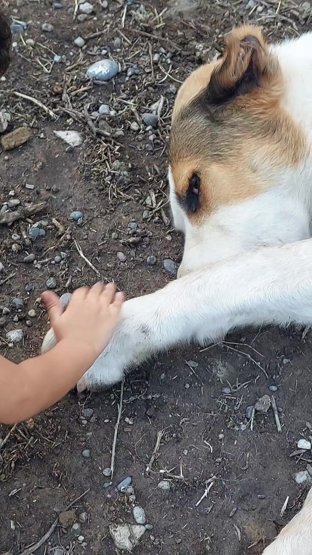 @Elşad__007