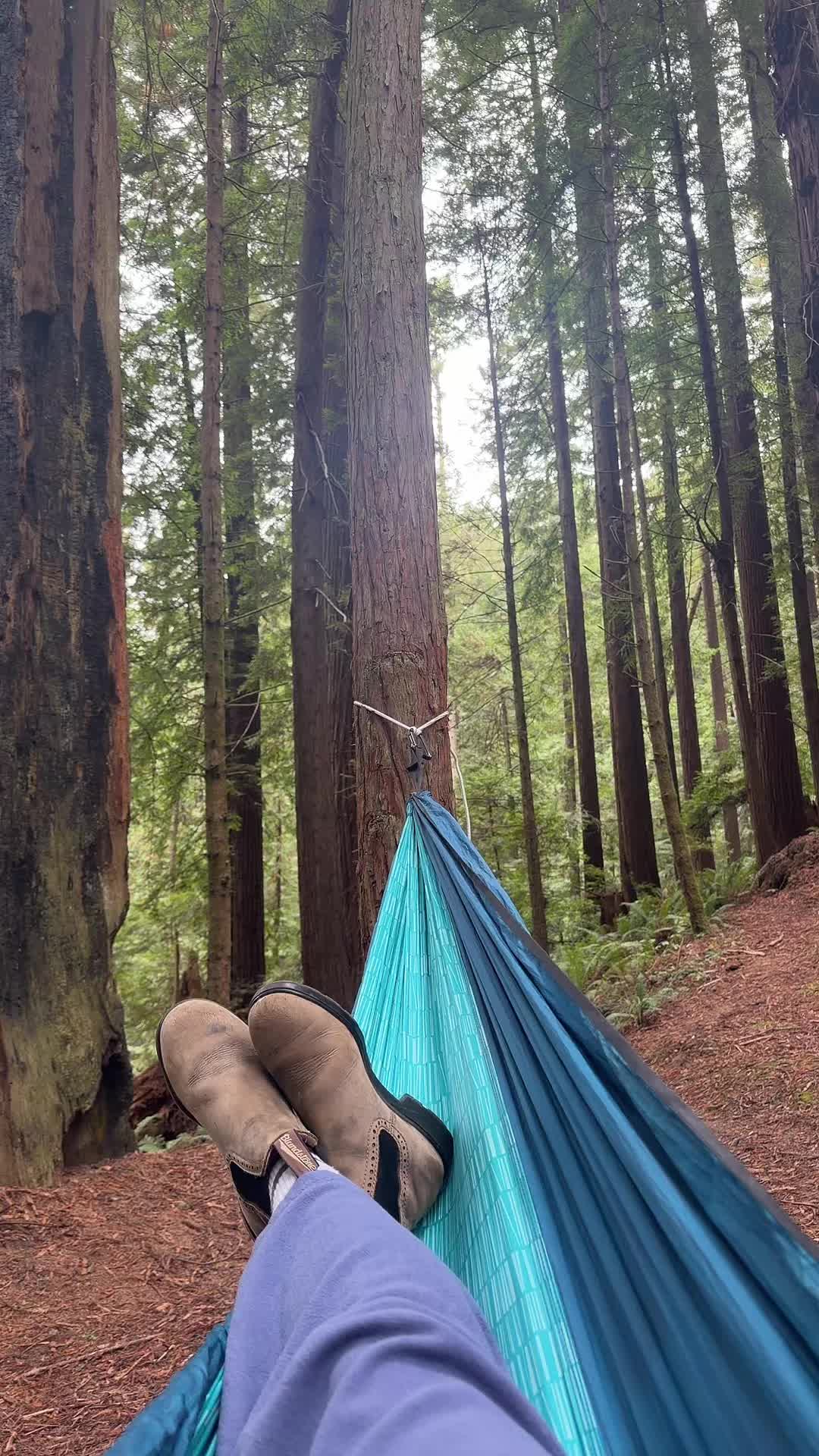 @Sara ☀️