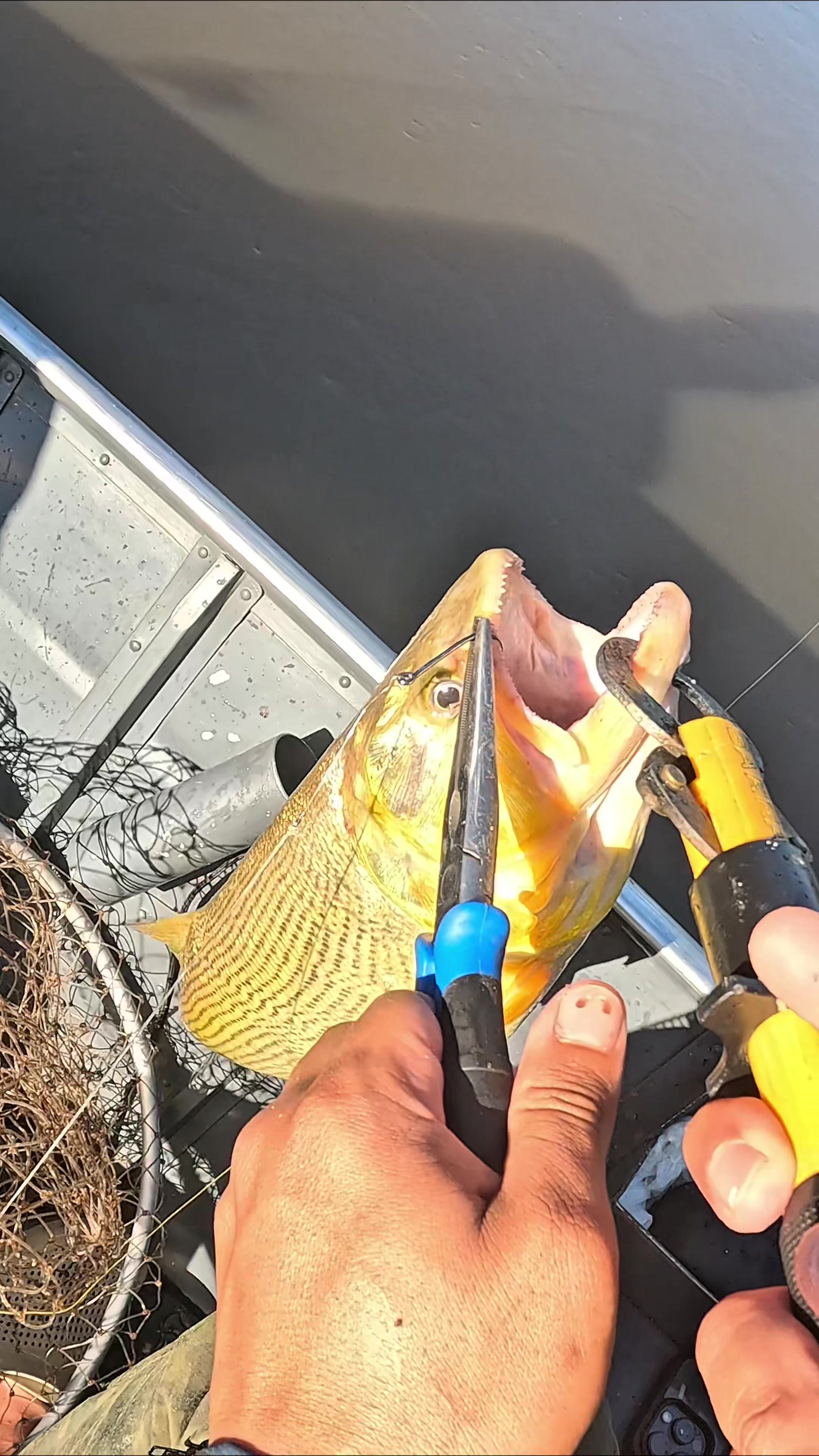 @Magrão Pesca