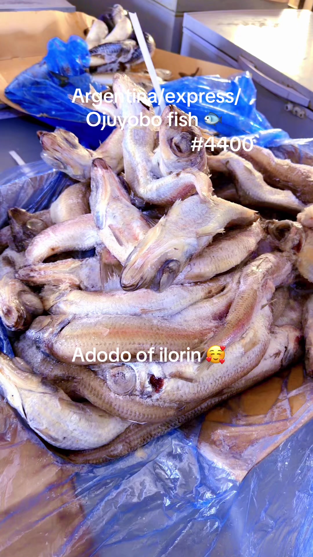 @Adodo_frozen_foods
