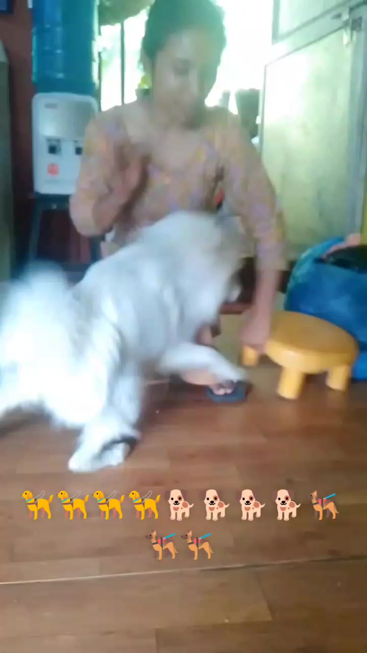@samrila_
