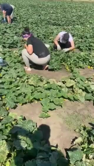 @Ксюша